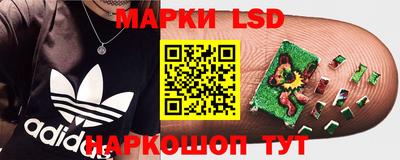 крисы Заводоуковск