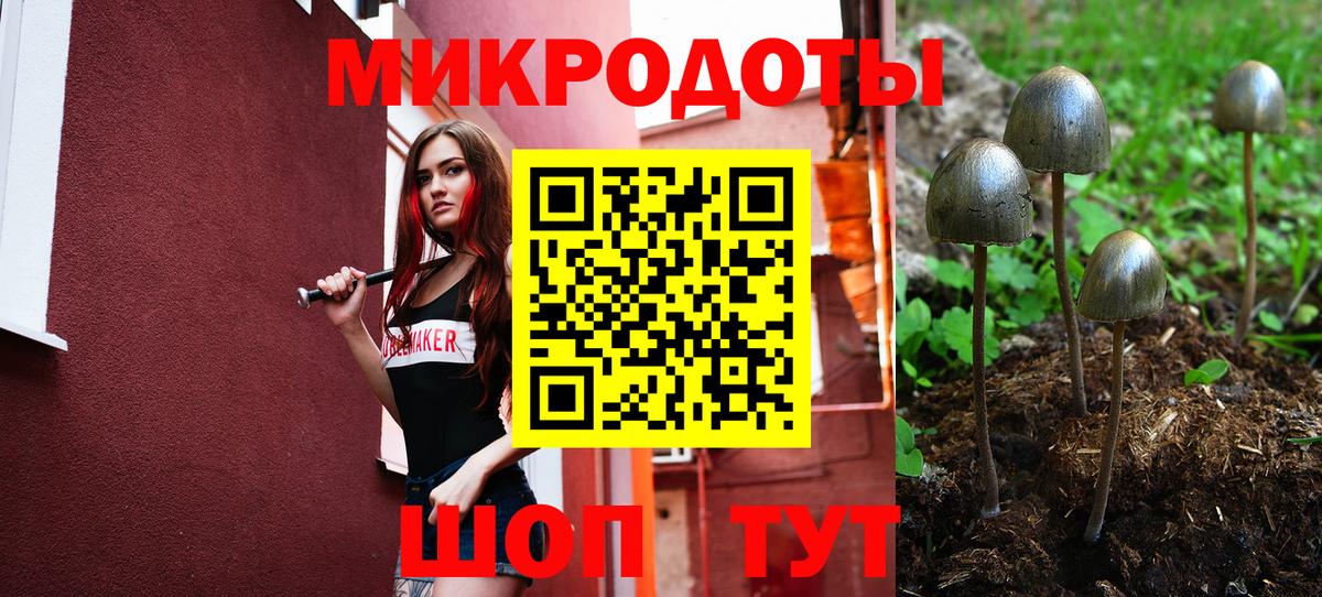 Кулебаки  Псилоцибиновые грибы MAGIC MUSHROOMS  Вход с VPN 