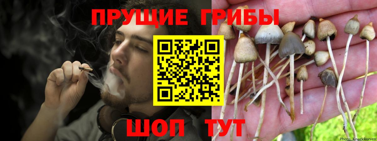 Галлюциногенные грибы MAGIC MUSHROOMS Кулебаки