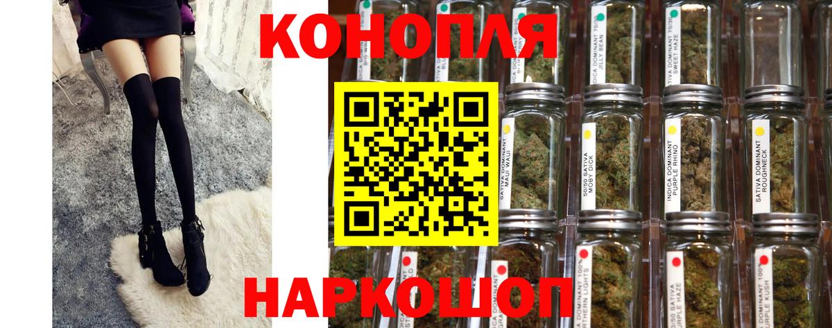 Бошки Шишки планчик  Бошки марихуана AK-47  Шишки марихуана план  Кулебаки  Вход с VPN 